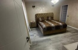 Casă individuală, elegantă – zonă limitrofă Berceni - Crețești (Vidra)