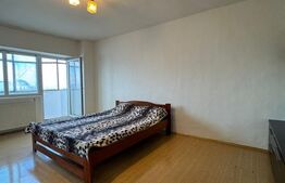 Garsoniera Liberty Mall / Viilor