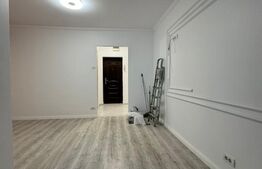 Garsoniera de vanzare, 25 mp, renovata, zona - Sebastian