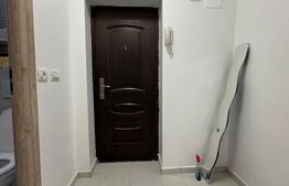 Garsoniera de vanzare, 25 mp, renovata, zona - Sebastian