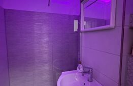 Garsoniera de vanzare, 25 mp, renovata, zona - Sebastian