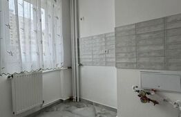 Garsoniera de vanzare, 25 mp, renovata, zona - Sebastian