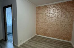 Garsoniera de vanzare, 25 mp, renovata, zona - Sebastian