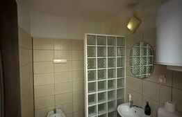 Apartament de vanzare 2 camere - LIZEANU - Bloc consolidat