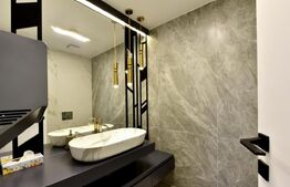 DUPLEX + MEZANIN + CURTE PIPERA/AVIATIEI