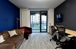 DUPLEX + MEZANIN + CURTE PIPERA/AVIATIEI