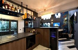 DUPLEX + MEZANIN + CURTE PIPERA/AVIATIEI