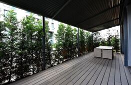 DUPLEX + MEZANIN + CURTE PIPERA/AVIATIEI