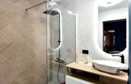 DUPLEX + MEZANIN + CURTE PIPERA/AVIATIEI