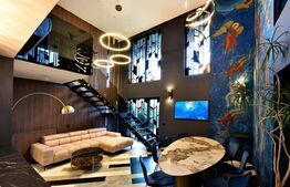 DUPLEX + MEZANIN + CURTE PIPERA/AVIATIEI