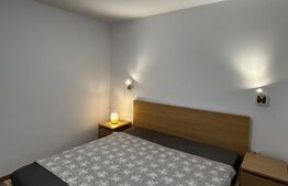 Apartament Premium cu 2 Camere | Parter Înalt | Mobilat Complet | Zona Domenii