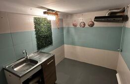 Randament excelent: casă de 37 mp în căutatul cartier Domenii