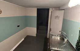 Randament excelent: casă de 37 mp în căutatul cartier Domenii