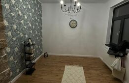 Randament excelent: casă de 37 mp în căutatul cartier Domenii