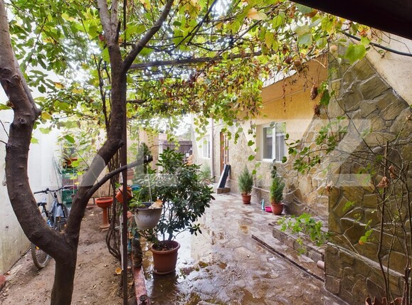 Casa de vânzare 6 camere Colentina - 184533CV | BLITZ București | Poza4