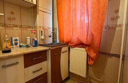 Garsoniera 25 mp, Petre Ispirescu Barca