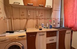 Garsoniera 25 mp, Petre Ispirescu Barca