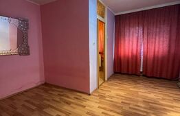 Garsoniera 25 mp, Petre Ispirescu Barca