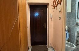 Garsoniera 25 mp, Petre Ispirescu Barca