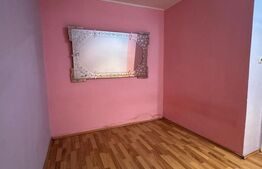 Garsoniera 25mp Petre Ispirescu Barca