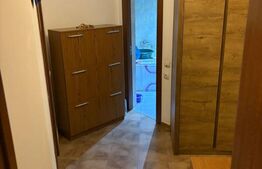 Garsonieră spațioasă de vânzare – Drumul Taberei, Valea Lungă