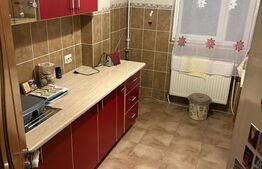 Garsonieră spațioasă de vânzare – Drumul Taberei, Valea Lungă