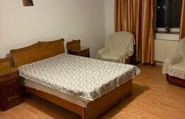 Garsonieră spațioasă de vânzare – Drumul Taberei, Valea Lungă