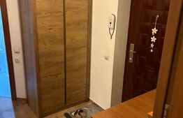 Garsonieră spațioasă de vânzare – Drumul Taberei, Valea Lungă