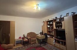 Apartament de 2 camere de vanzare TEI | 60 mp | 1987 an constructie
