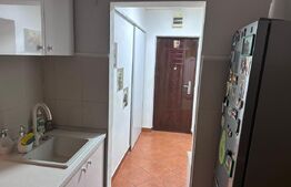 Apartament 2 camere - complet mobilat - zona Titan, Risc 2