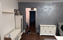 Apartament 2 camere - complet mobilat - zona Titan, Risc 2