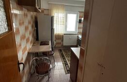 Apartament de inchiriat, 2 camere, 55 mp – Tineretului