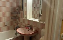 Apartament de inchiriat, 2 camere, 55 mp – Tineretului