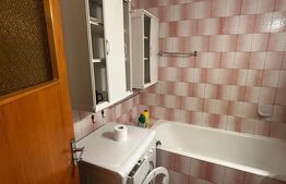 Apartament de inchiriat, 2 camere, 55 mp – Tineretului