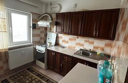 Apartament de inchiriat, 2 camere, 55 mp – Tineretului