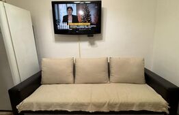 Apartament cu 2 camere, modificat, parter