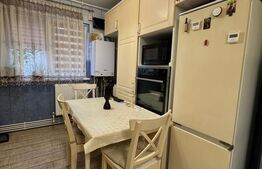 Apartament cu 2 camere, modificat, parter