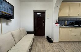 Apartament cu 2 camere, modificat, parter