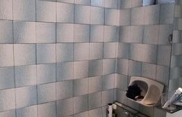 Apartament 3 camere - Tineretului