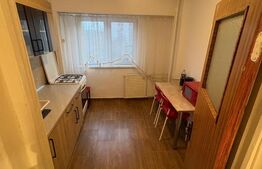 Apartament 2 camere –  Zona Gorjului | Etaj 3