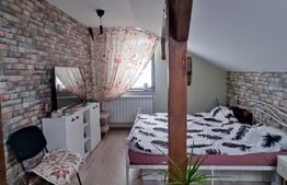 Casa modernă, 3 dormitoare, 164 mp, zonă liniștită din comuna 1 Decembrie