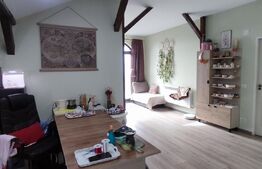 Casa modernă, 3 dormitoare, 164 mp, zonă liniștită din comuna 1 Decembrie