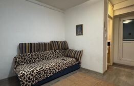 Oferta! Garsoniera Petre Ispirescu - Barca