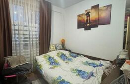 Apartament cu 2 camere, zona Parc Humulesti - Salaj