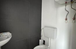 Spatiu Comercial Petre Ispirescu - Sebastian