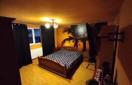 Casă spațioasă cu oportunitate de business - zona Titan