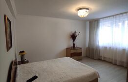 Casă spațioasă cu oportunitate de business - zona Titan