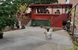 Casă spațioasă cu oportunitate de business - zona Titan