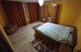 Casă spațioasă cu oportunitate de business - zona Titan