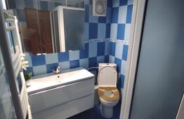 Casă spațioasă cu oportunitate de business - zona Titan